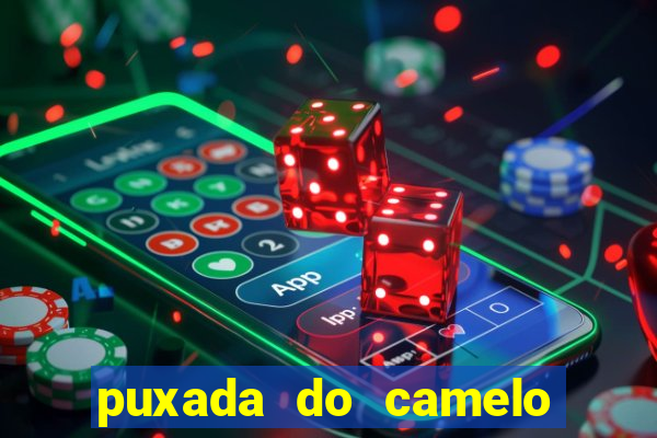 puxada do camelo jogo do bicho